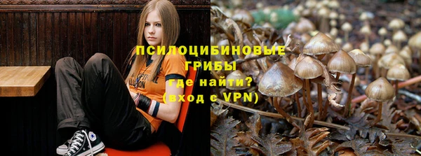 дурь Аркадак