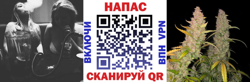 магазин  наркотиков  Асино  Канабис планчик 